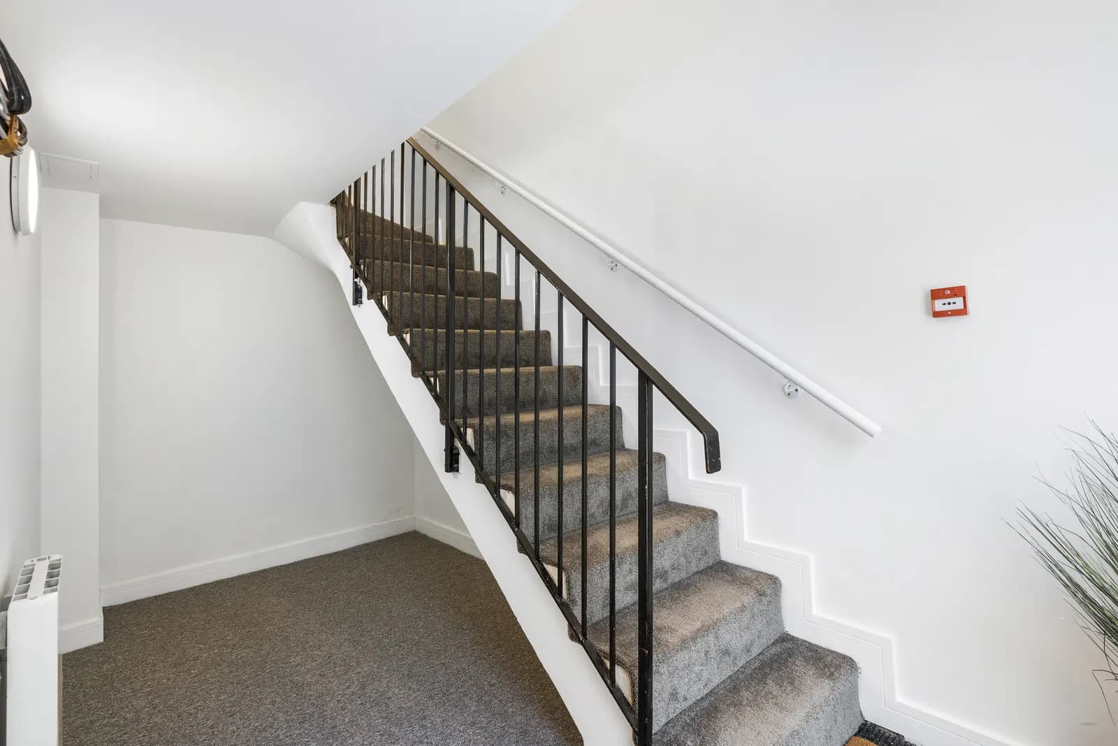 Property view 38